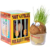 Baltus Mr Bart , grootverpakking van 36 stuks.