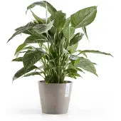 Ecopot's Pot amsterdam taupe d20h18cm