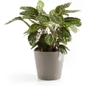 Ecopot's Bloempot Amsterdam 30 cm Taupe