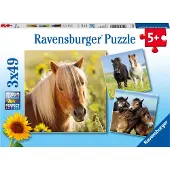Ravensburger puzzel Schattige Pony's - 3x49 stukjes - kinderpuzzel