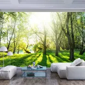 Karo-art 392cm X 280cm - Zelfklevend fotobehang - Zonnige dag in een bos , Premium Print