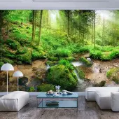 Karo-art 441cm X 315cm - Zelfklevend fotobehang - Vochtig bos in de ochtend , Premium Print