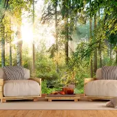 Karo-art 98cm X 70cm - Zelfklevend fotobehang - Ongetemde Natuur, bos, groen, 8 maten, Premium Print, geen lijm nodig, instructie bijgesloten, water- en UV bestendig