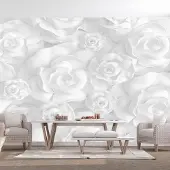 Karo-art 294cm X 210cm - Zelfklevend fotobehang - Witte rozen , Premium Print