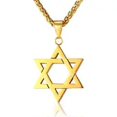 Mendes heren ketting Edelstaal David Ster Goudkleurig