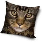 Carbotex kat - sierkussensloop - 40 x 40 cm