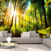 Karo-art 392cm X 280cm - Zelfklevend fotobehang - Verstop plek in het bos , Premium Print