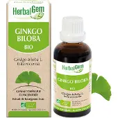 Herbalgem Ginkgo Biloba Bio | Bloedsomloop, Geheugen & Concentratie 30 ml Druppels