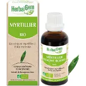 Herbalgem Blauwe Bosbes Bio 30 ml Druppels