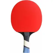 Cornilleau Tafeltennisbat Perform 500