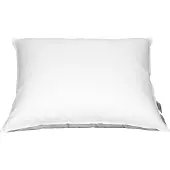Polydaun 15% dons hoofdkussen en 12934 60 x 70 cm
