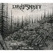V2 Border I Denna Skog
