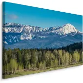 Karo-art Schilderij - Grand Teton National Park, USA, Premium Print