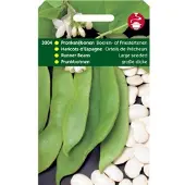 Tuinplus 5 stuks - Tuinplus - Pronksnijbonen Grootz.(Boerentenen)