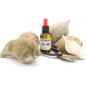 Dutchbeards Dutch Beards The Fixer Baard Elixir (10 ml)
