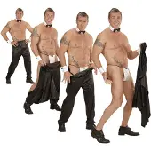 E-Carnavalskleding.nl Strippers broek (zwart, M / L)