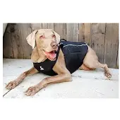 All For Paws Comfy Wrap