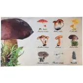 Esschert Design Deurmat paddestoelen verzameling