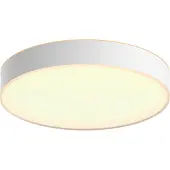 Philips Hue Enrave L plafondlamp White Ambiance Wit