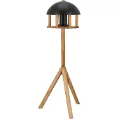 Esschert Design Voederhuisje Voedertafel op voet - Zwart dak - - FB564 - Vogelvoederhuisje voor Vogels
