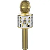 IDance bluetooth party microfoon goud