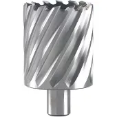 Hikoki Kernboor 22X55 Mm - 754511