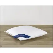 De Witte Lietaer hoofdkussen Ducky 60 x 60 cm eendendons/katoen wit
