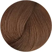 BioMagic Biologische Haarverf met Natuurlijke Ingrediënten - verrijkt met Keratine en Arganolie.- Vegan - zonder PPD - BEIGE BLOND 7/72
