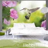 Artgeist Fotobehang - Humming-bird