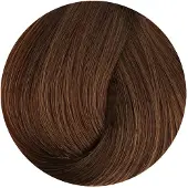 BioMagic Biologische Haarverf met Natuurlijke Ingrediënten - verrijkt met Keratine en Arganolie.- Vegan - zonder PPD - zonder Ammoniak - DONKER BEIGE BLOND 6/72