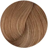 BioMagic Biologische Haarverf met Natuurlijke Ingrediënten - verrijkt met Keratine en Arganolie.- Vegan - zonder PPD - LICHT BEIGE BLOND 8/72