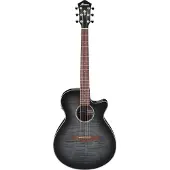 Ibanez Aeg70-Tch Transparent Charcoal Burst