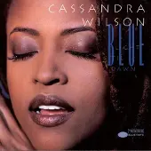 Universal Music Cassandra Wilson - Blue Light 'Til Dawn (2 LP)
