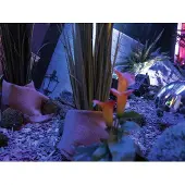 Europalms Decoratie mos, ca. 1,5-2,0kg
