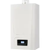 Remeha Avanta Ace 24C CW3 - 60/100 concentrisch