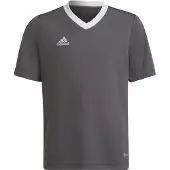Adidas Functioneel shirt 'Entrada 22' grafiet / wit