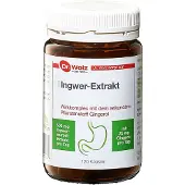 Dr. Wolz Gember Extract - met plantenstof Gingerol - supplement voor rustige maag en tegen misselijk - Supplement voor duikers