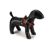 Beeztees BZ NY GESCH UNI LICHTBRUIN 60-10 (100, Hond, Algemeen)