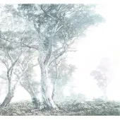 Overig Fotobehang Magic Trees - Wit - 2,80m X 300cm