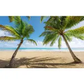 Overig Fotobehang Caribbean Days Ii - Meerkleurig - 2,80m X 450cm