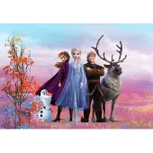 Komar Papierfotobehang Frozen Iconisch - Meerkleurig - 2,54m X 368cm
