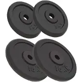 vidaXL Halterschijven, 4 stuks: 2 x 10 kg + 2 x 5 kg, gietijzer