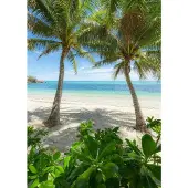 Overig Fotobehang Palmy Beach - Groen - 2,80m X 200cm