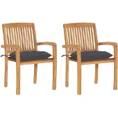 vidaXL Tuinstoelen 2 st met antracietkleurige kussens massief teakhout