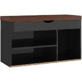 vidaXL Schoenenbank met kussen 80x30x47 cm hout hoogglans zwart