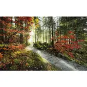 Overig Fotobehang Feuerzungen - Meerkleurig - 2,80m X 450cm