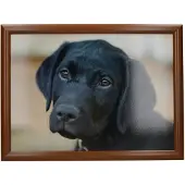 Creative Tops Zwarte Labrador Dienblad