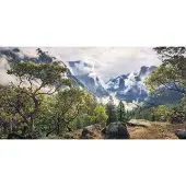 Komar Vliesbehang Digitale print vlies - Unique Paradise - Afmeting 200 x 100 cm (1 stuk)