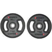 FINNLO 25kg Plate 2 Units Zilver 25 kg