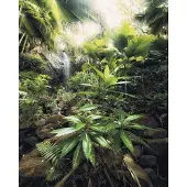 Komar Spirit Vlies Fotobehang 200x250cm 2-banen